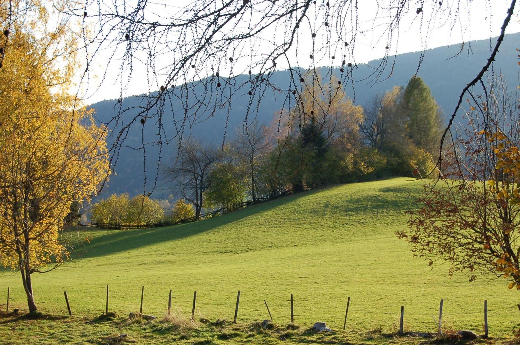 Walcherhof Arriach Exteriér fotografie