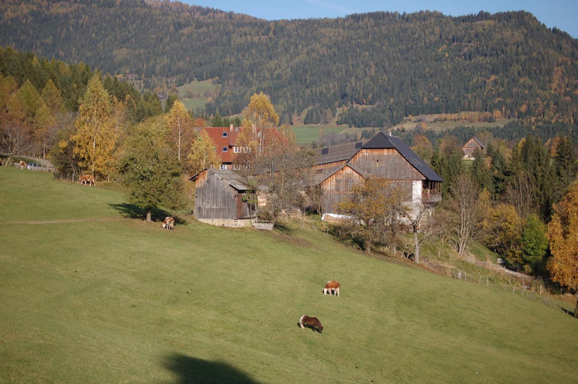 Walcherhof Arriach Exteriér fotografie
